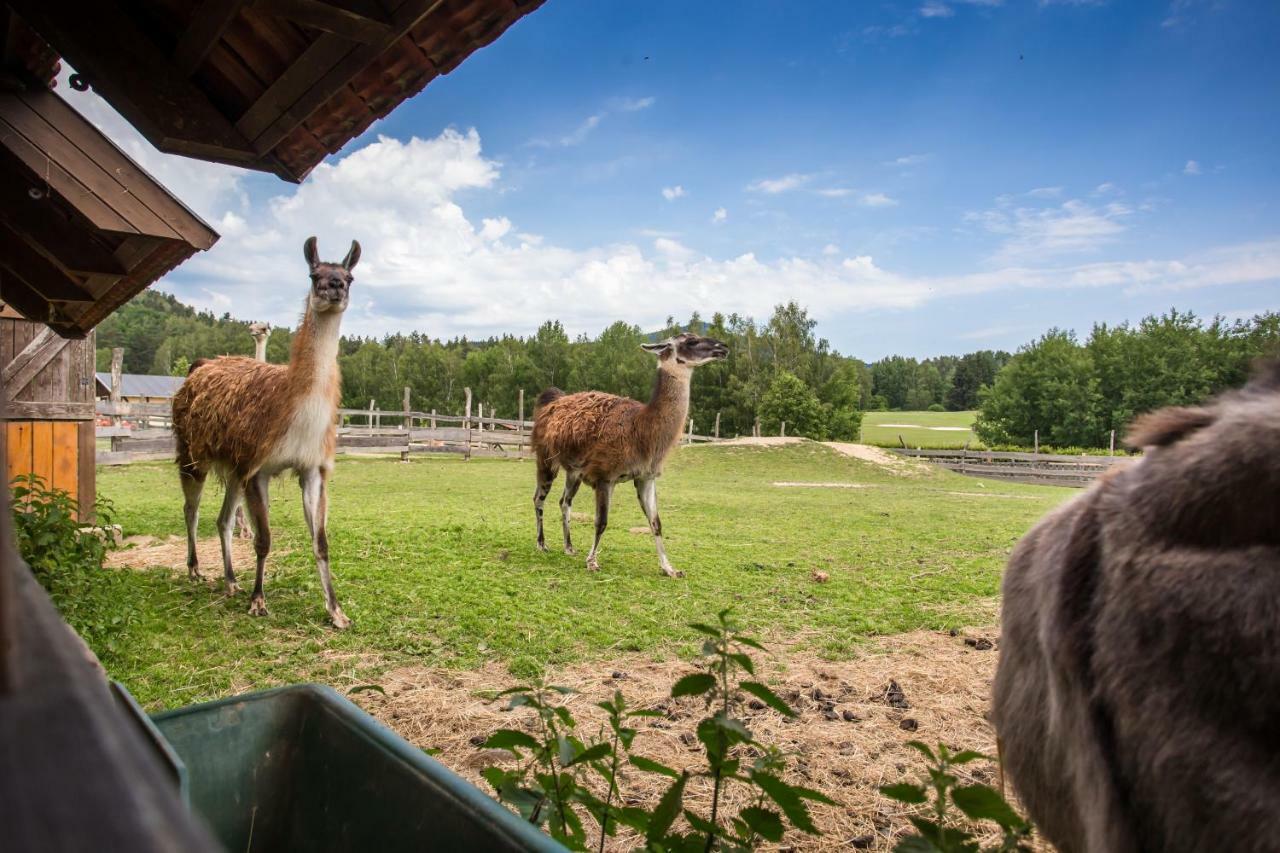 Resort Malevil Jablonné v Podještědí Bagian luar foto